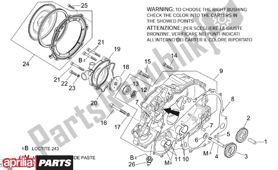 Alle Teile für das Waterpomprondsel des Aprilia RSV Mille SP 391 1000 1999 - 2000