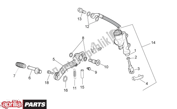 All parts for the Achterwielrempomp of the Aprilia RSV4 Factory SBK Racing 49 1000 2009 - 2010