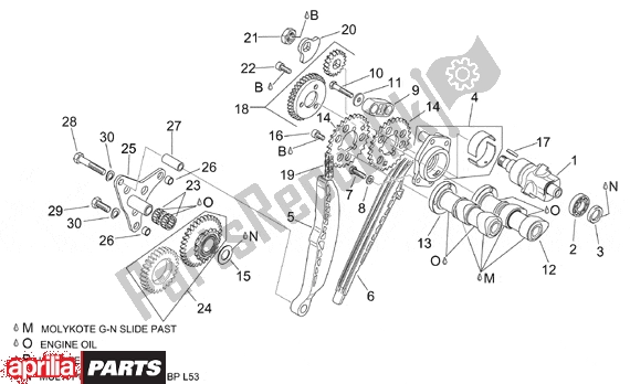 Todas las partes para Rear Cylinder Timing System de Aprilia RSV Mille 10 1000 2000