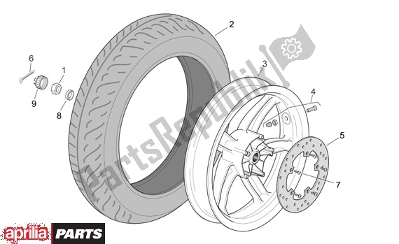 All parts for the Rear Wheel of the Aprilia Scarabeo 125-250 660 2004 - 2006
