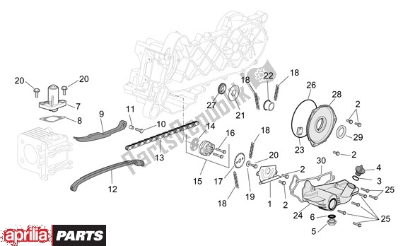 All parts for the Oil Pump of the Aprilia Scarabeo 4T 663 100 2001 - 2004