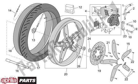 All parts for the Front Wheel of the Aprilia Scarabeo 4T 663 100 2001 - 2004