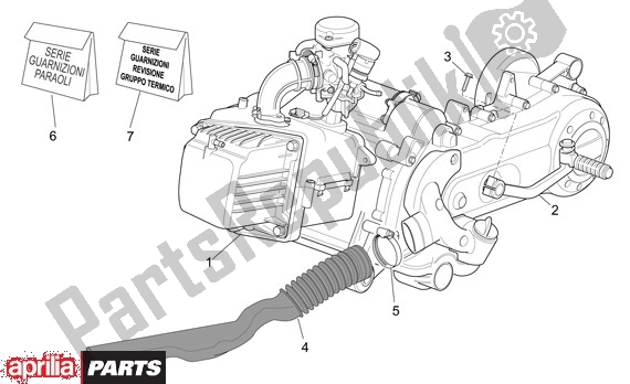 Alle onderdelen voor de Motor van de Aprilia Scarabeo 4T 565 50 2002 - 2006