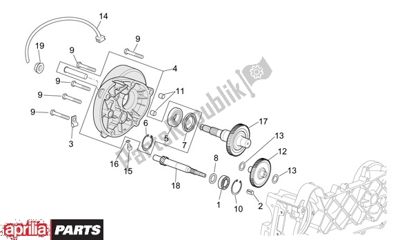 Toutes les pièces pour le Transmision du Aprilia Scarabeo 4T 565 50 2002 - 2006