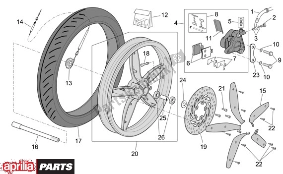 All parts for the Front Wheel of the Aprilia Scarabeo 4T Restyling 29 100 2006 - 2007