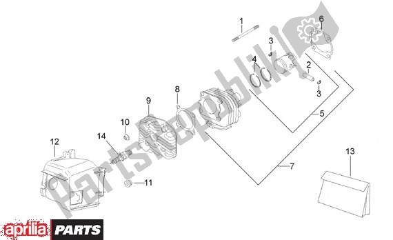 All parts for the Cylinder of the Aprilia Scarabeo 7 50 1998