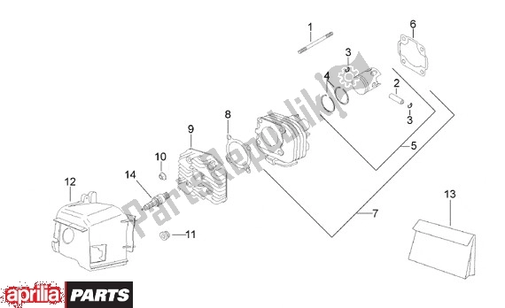 All parts for the Cylinder of the Aprilia Scarabeo 8 50 1999