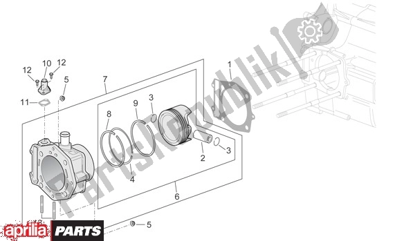 All parts for the Cylinder of the Aprilia Scarabeo 681 500 2003 - 2006