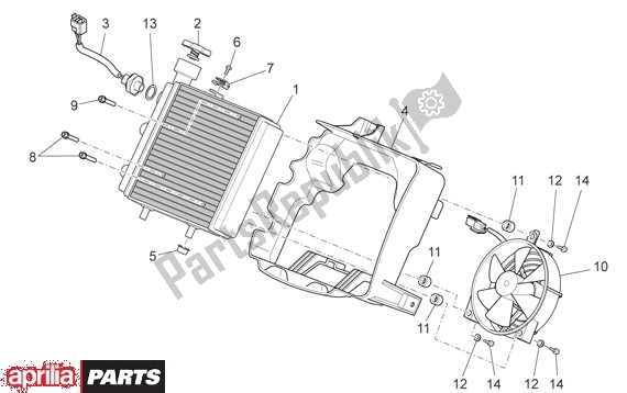 All parts for the Radiator of the Aprilia Scarabeo Light 35 125 2007 - 2008