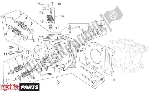 All parts for the Cylinder Head of the Aprilia Scarabeo Light 33 250 2006 - 2008