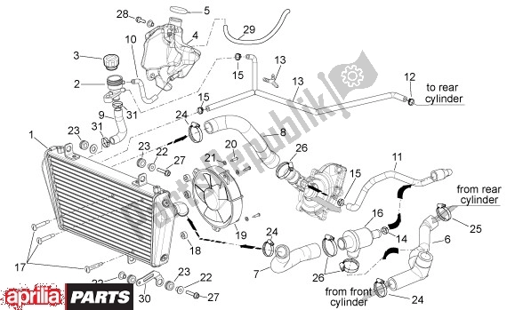 All parts for the Koelapparaat of the Aprilia Shiver 32 750 2007 - 2010