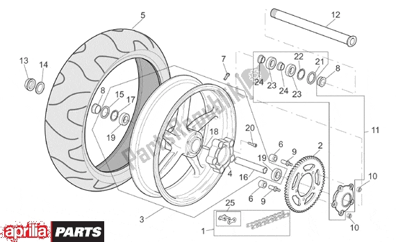 Todas as partes de Rear Wheel do Aprilia SL Falco 392 1000 2000 - 2002