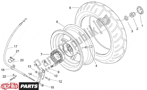 All parts for the Rear Wheel Drum Brake of the Aprilia SR H2O Ditech Carburatore 553 50 2000 - 2003