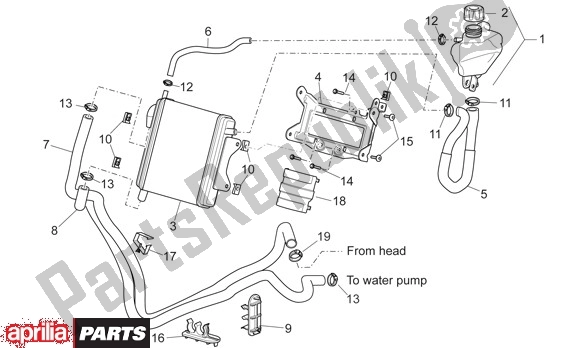 Todas as partes de Radiador do Aprilia SR R Factory 556 50 2004 - 2007