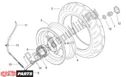 Rear wheel drum brake