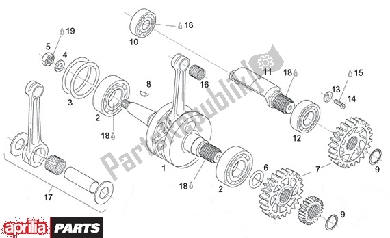 Todas as partes de Virabrequim do Aprilia Tuono 355 125 2003 - 2004