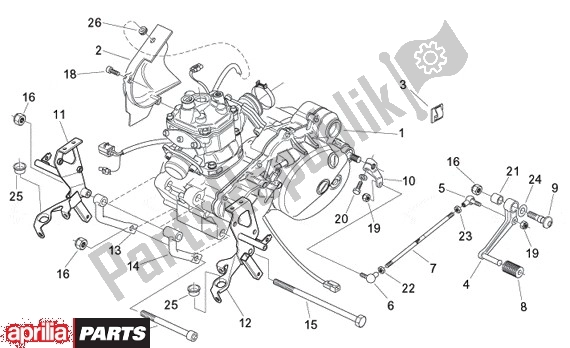 Alle onderdelen voor de Motor van de Aprilia Tuono 355 125 2003 - 2004