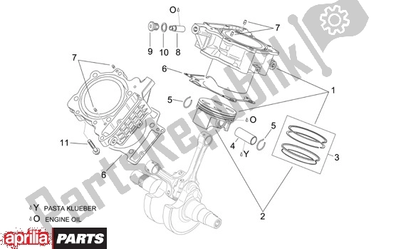 Alle onderdelen voor de Cilinder van de Aprilia Tuono R-factory 20 1000 2006 - 2007