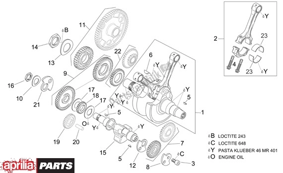 Todas las partes para Cigüeñal de Aprilia Tuono R-factory 20 1000 2006 - 2007