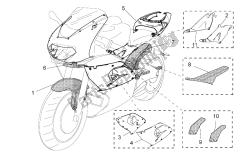 acc. - partes especiales del cuerpo