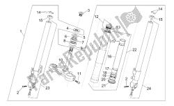 forcella anteriore
