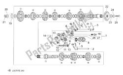 selector de caja de cambios