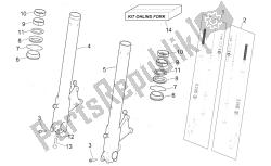 forcella anteriore ii