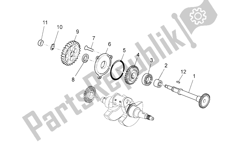 All parts for the Transmission Shaft of the Aprilia RXV SXV 450 550 Pikes Peak 2009