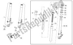 forcella anteriore