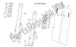 forcella anteriore ii