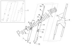 forcella anteriore