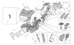 acc. - partes especiales del cuerpo