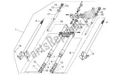 forcella anteriore