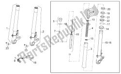 forcella anteriore