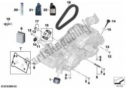 óleo do motor / serviço de manutenção