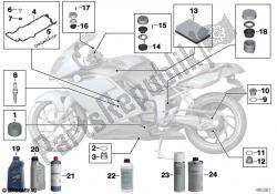 óleo do motor / serviço de manutenção