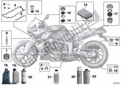 óleo do motor / serviço de manutenção