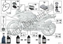 óleo do motor / serviço de manutenção