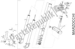 forcella anteriore