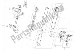 forcella anteriore