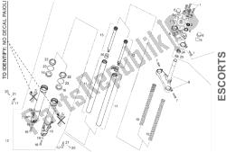 forcella anteriore (2)