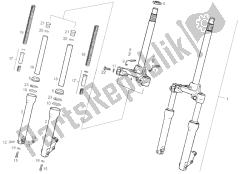 forcella anteriore