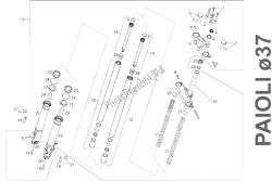 forcella anteriore paioli 37