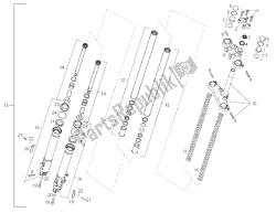 forcella anteriore