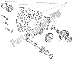 albero di trasmissione (2)