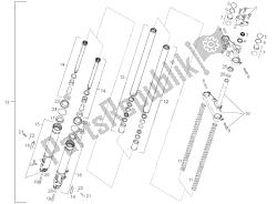 forcella anteriore