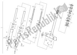 forcella anteriore