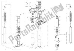 forcella anteriore