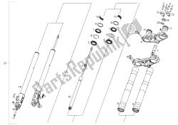 forcella anteriore