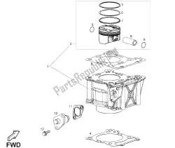 Cylinder - Piston